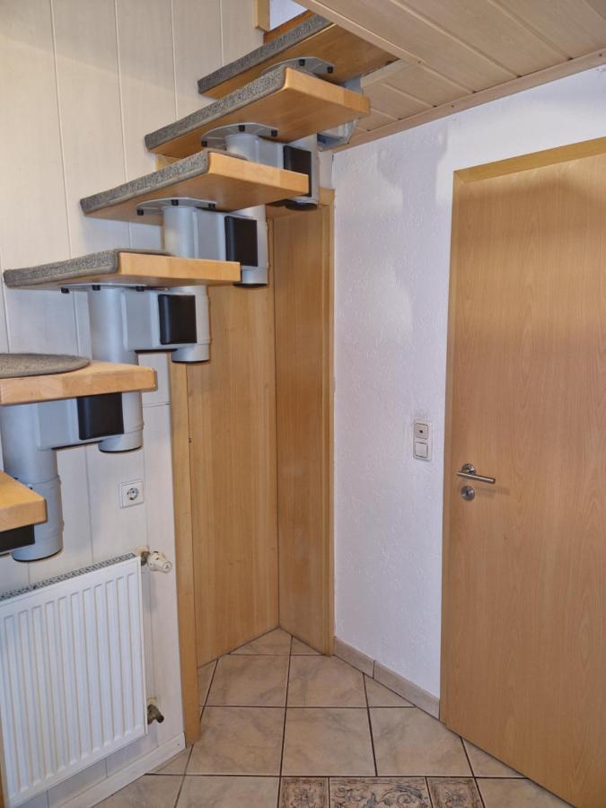 Ferienwohnung Blumenshein Bei Speyer Karlsruhe Familienfreundlich 5 Pers Zeiskam Zewnętrze zdjęcie