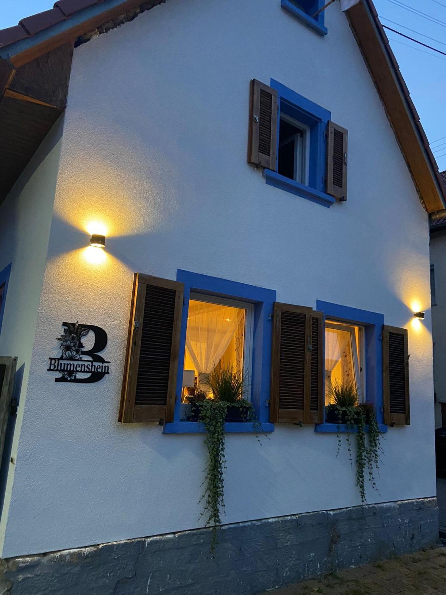 Ferienwohnung Blumenshein Bei Speyer Karlsruhe Familienfreundlich 5 Pers Zeiskam Zewnętrze zdjęcie